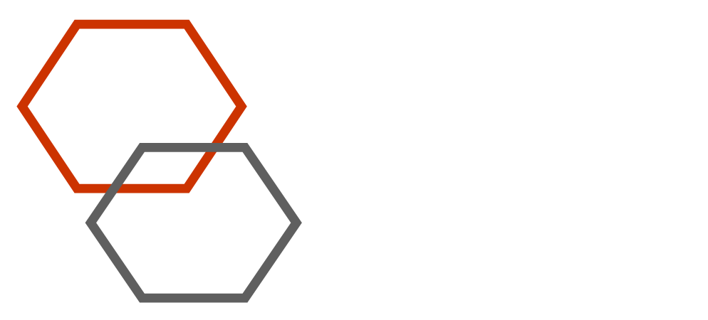 Anger Expressions Scale